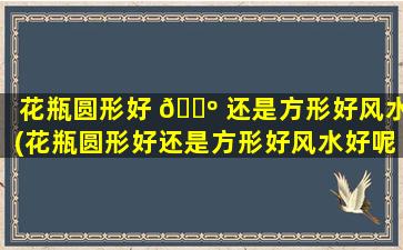 花瓶圆形好 🌺 还是方形好风水(花瓶圆形好还是方形好风水好呢)